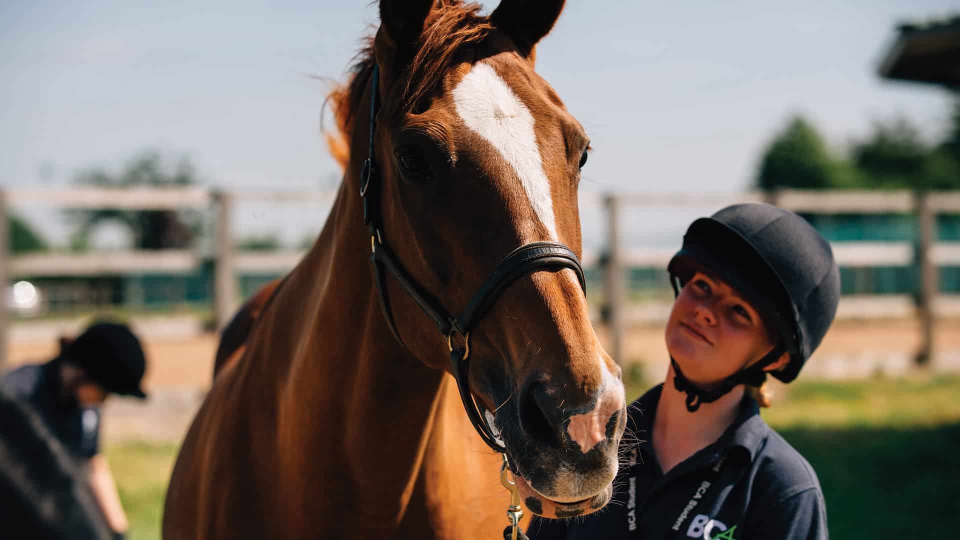Equine student with horse