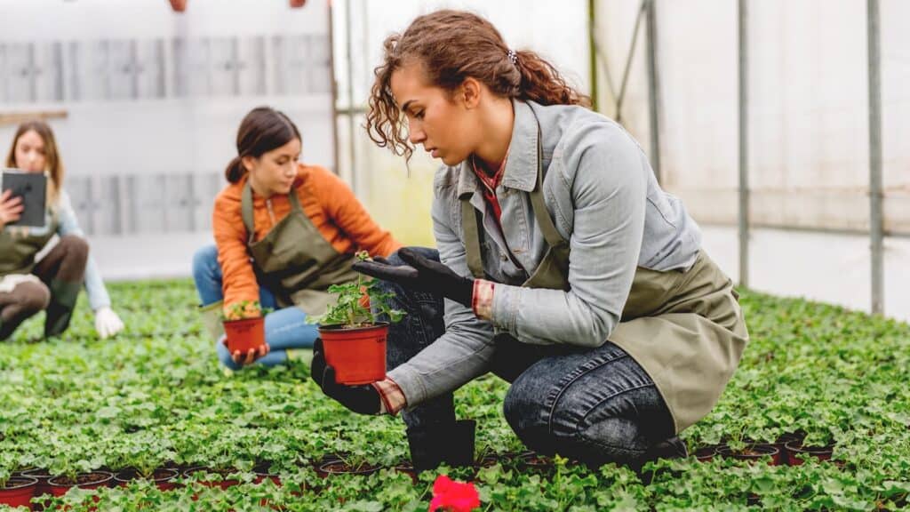 RHS learner inspecting plant
