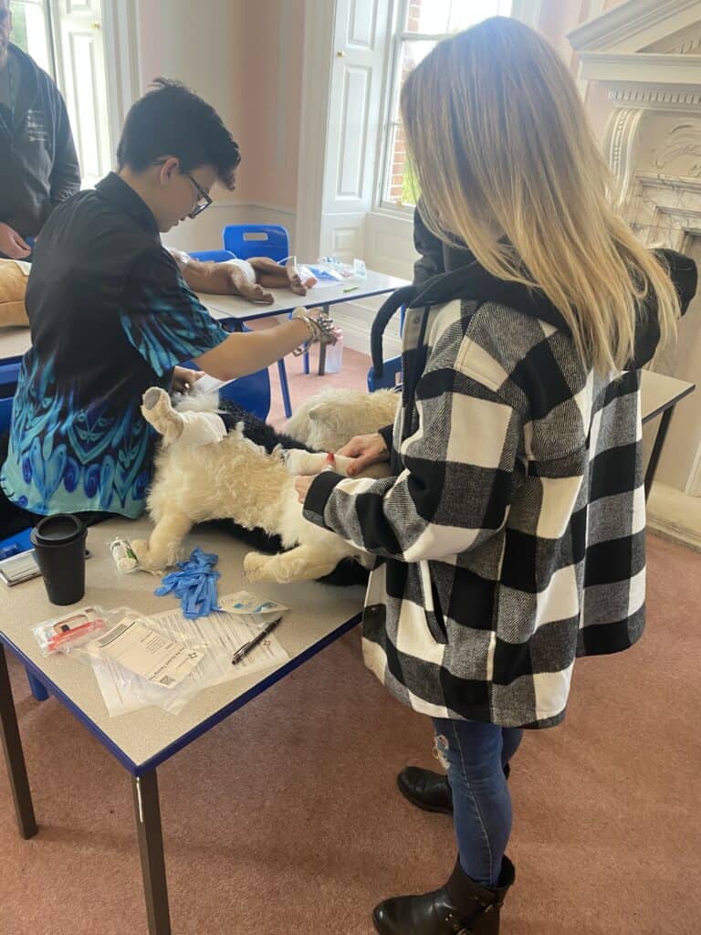 Pet first aid students