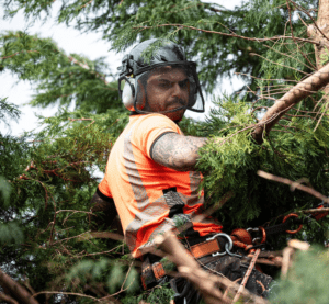 student cutting down tree