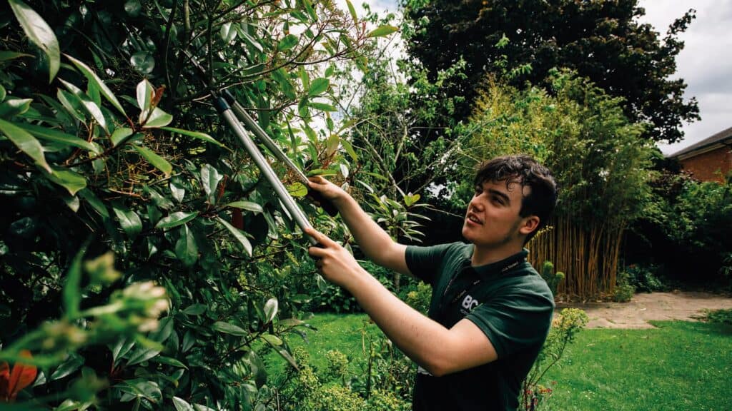 Student pruning branches