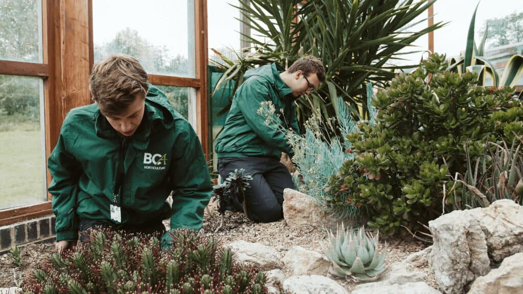 Students caring for plants