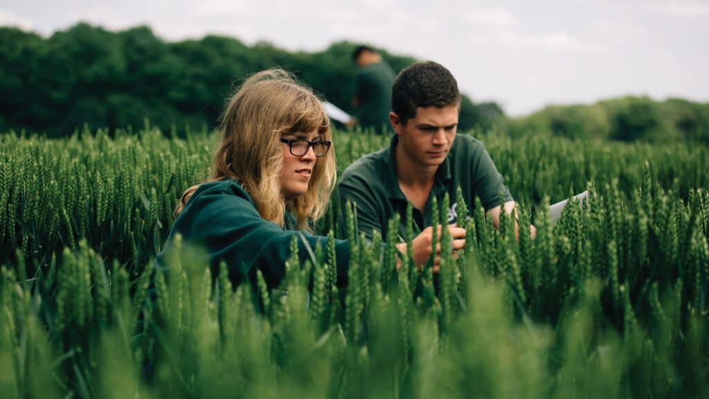 Two students in a field