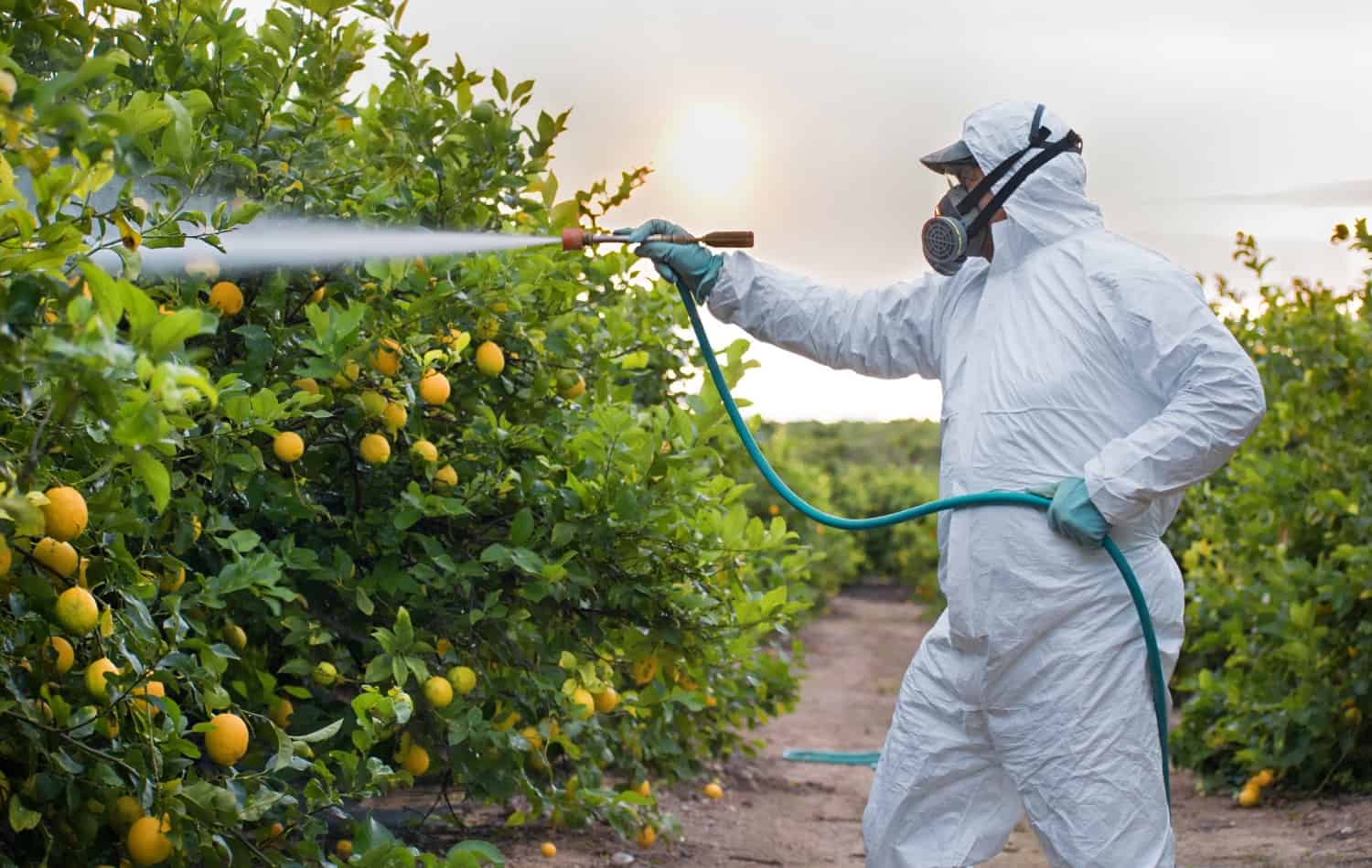 Pesticide course