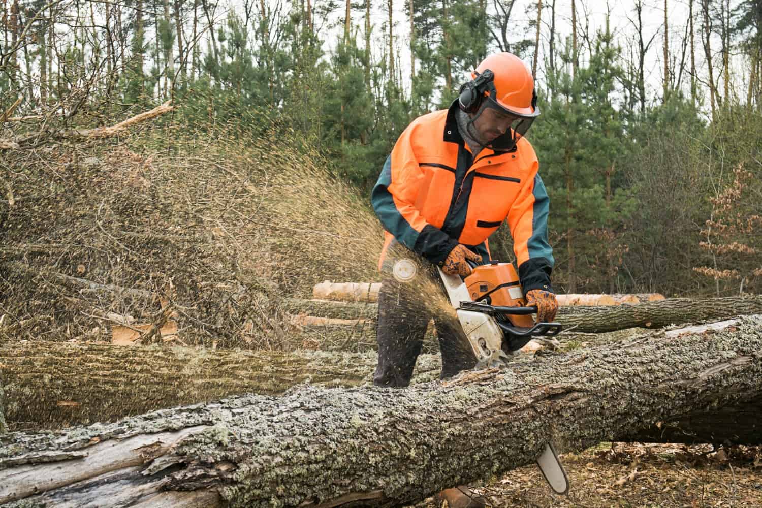 Tree cutting log