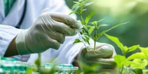 plant pathologist