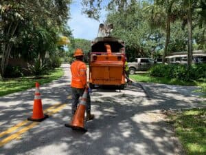utility arborist