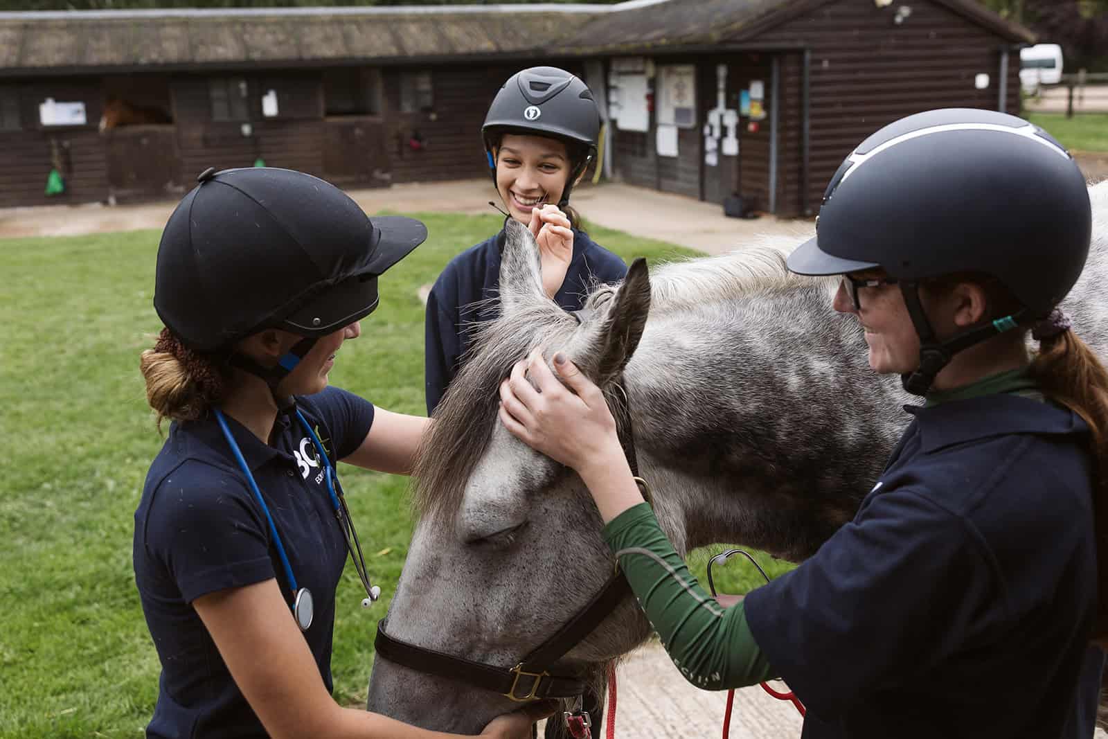 students in equine yard