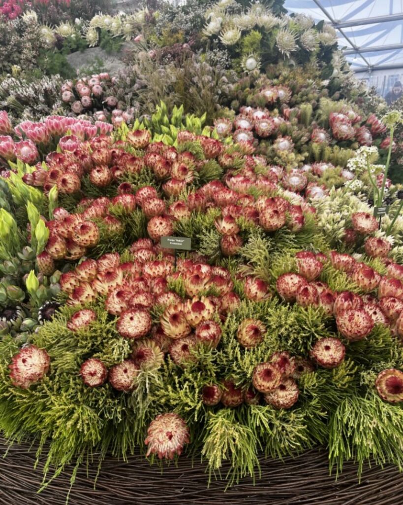 A mixture of yellow flowers and green leaves on display
