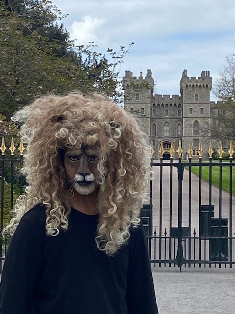 Lion Facepaint on a person