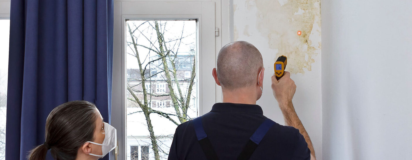 Mould and Damp assessing