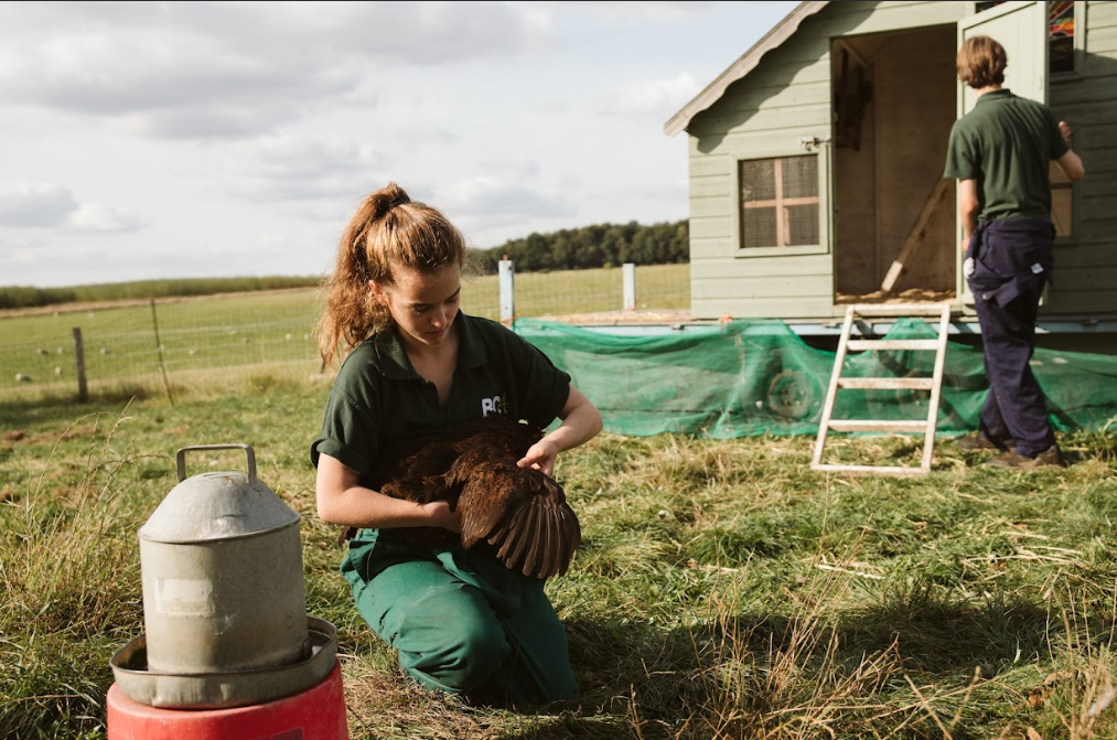 agriculture student holding a chicken