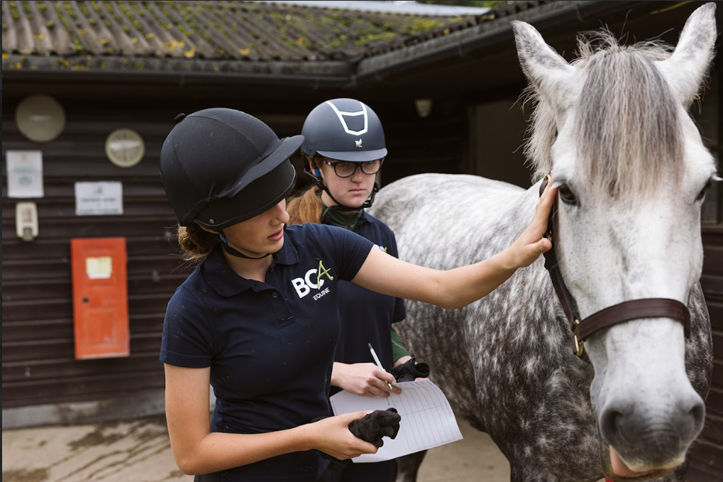 equine students with a horse