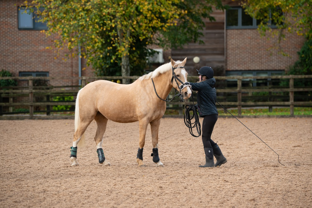 equine student with a horse