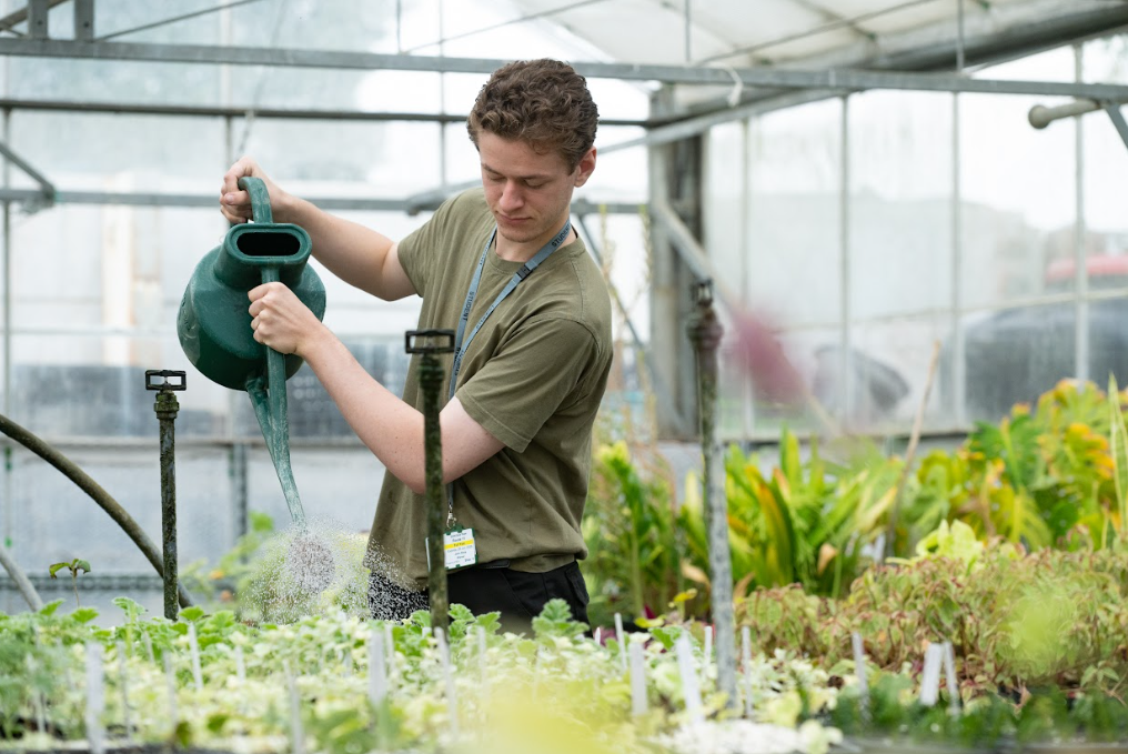horticulture student watering