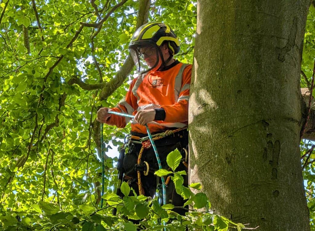 Man climbing a tree