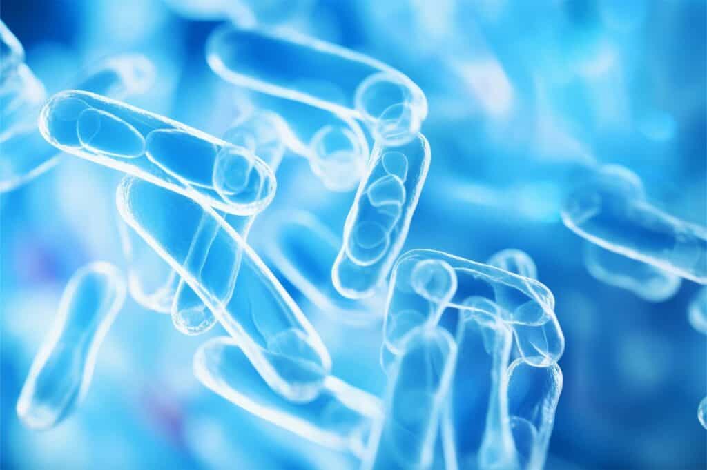 Legionella